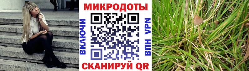 продажа наркотиков  Рошаль  Галлюциногенные грибы мухоморы 